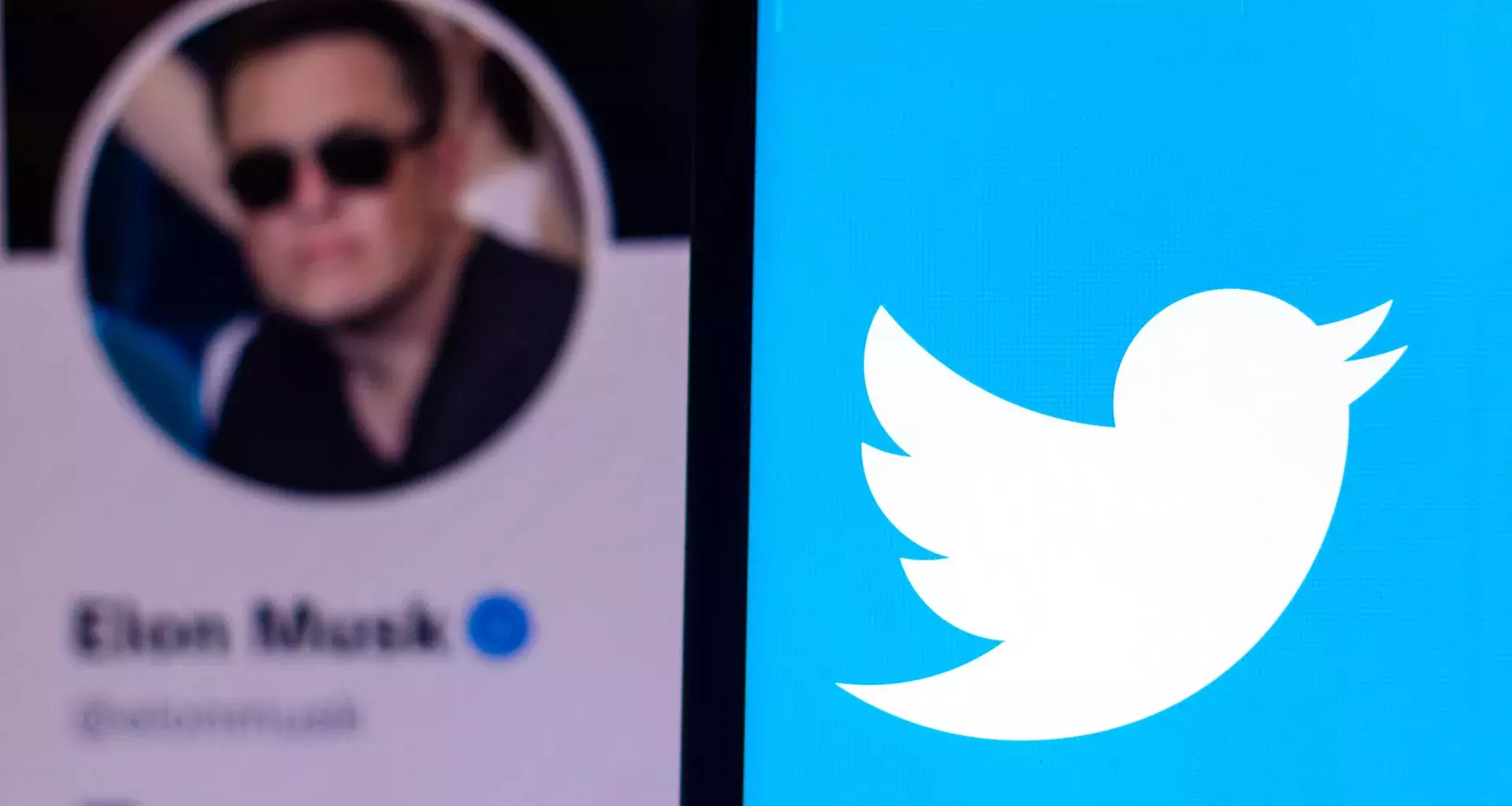 Elon Musk compra Twitter: ¿habrá más libertad de expresión?