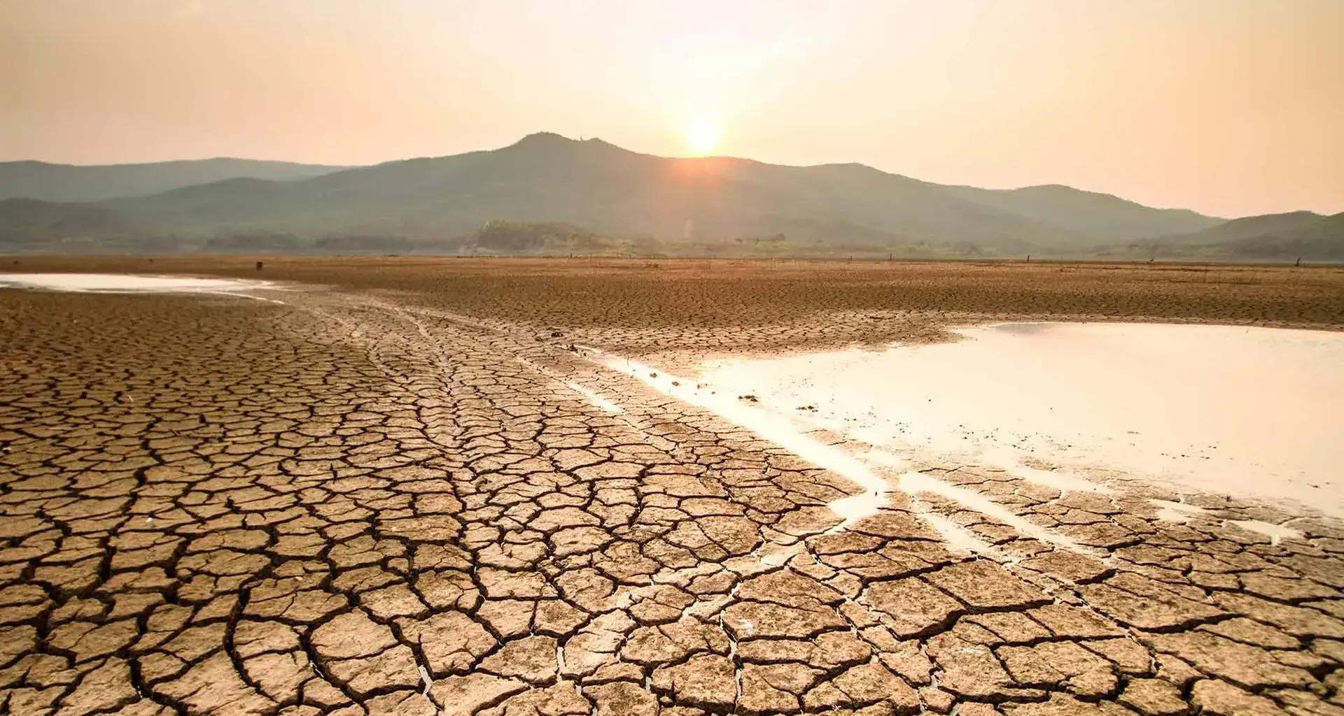 Drought in Mexico: what causes it and how do we tackle it?