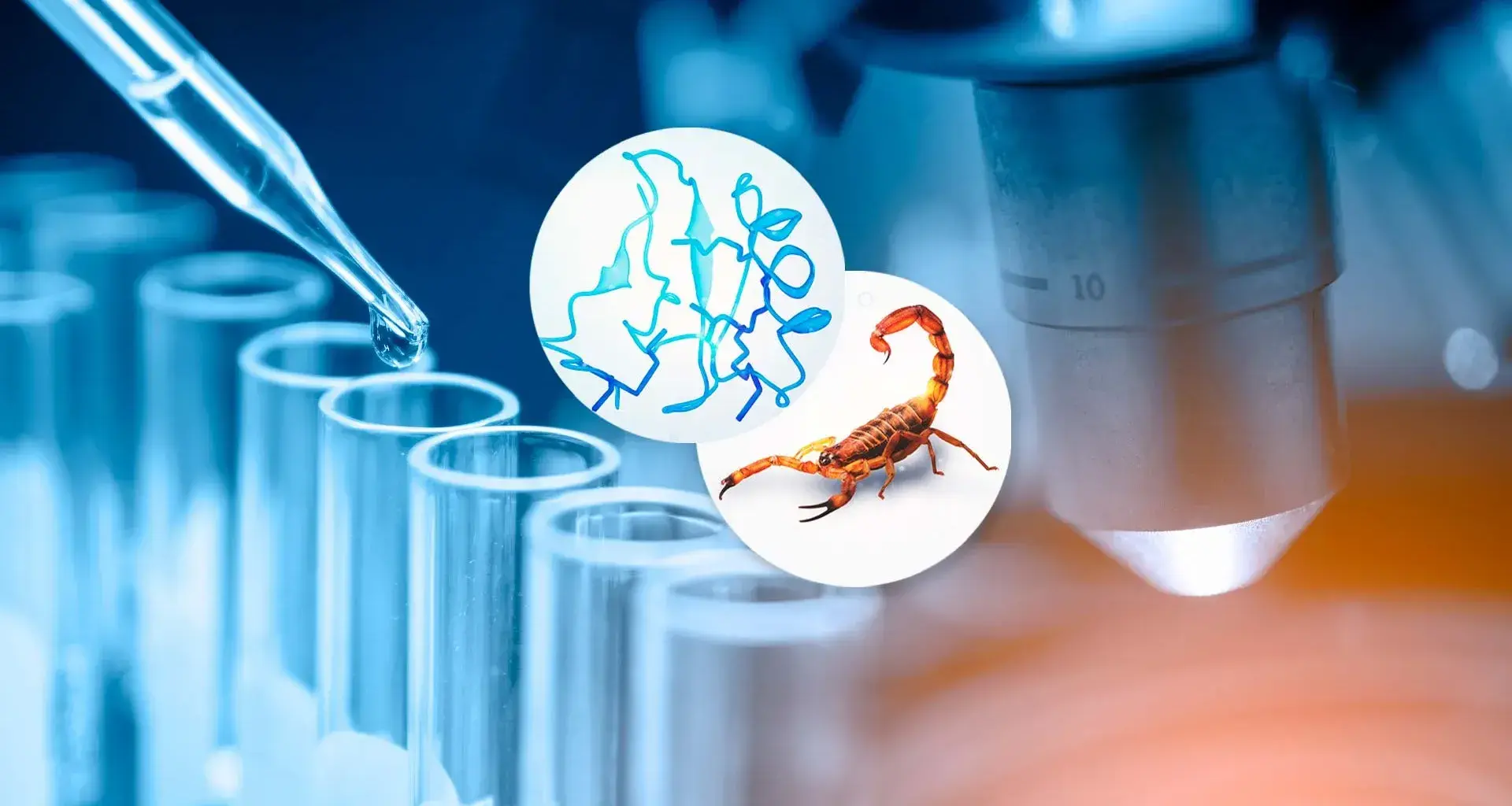 Tec scientists looking to use scorpion venom to treat cancer