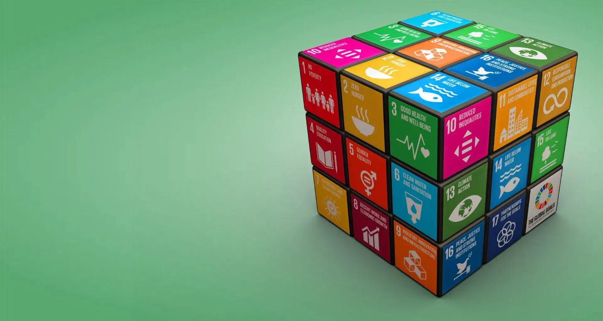 David Garza participates in sustainable development panel