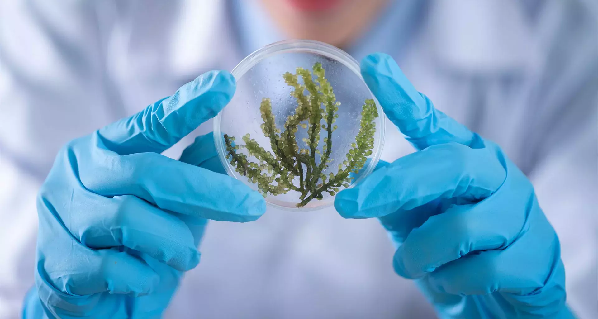 Estudiantes Tec campus Ciudad de México ganan beca para conferencia de biología sintética SynBioBeta