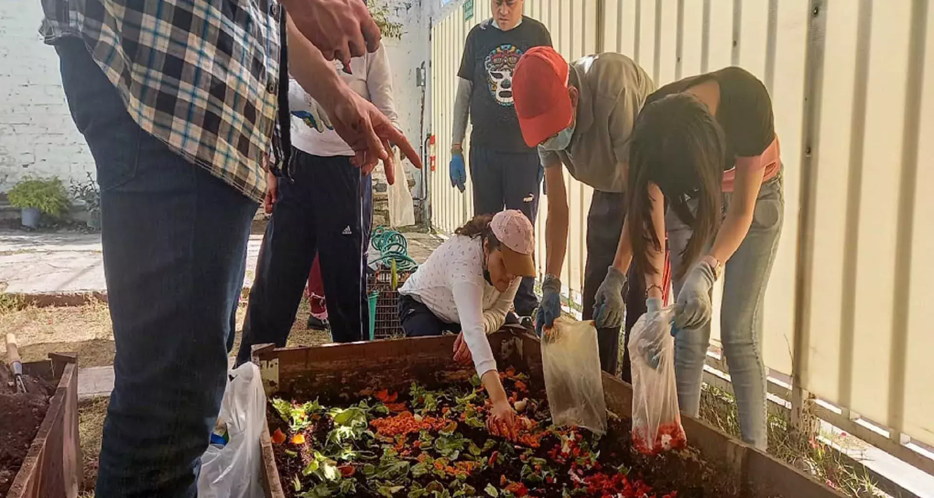 Estudiantes del Tec campus Querétaro en proyectos sociales en pro de personas con discapacidad