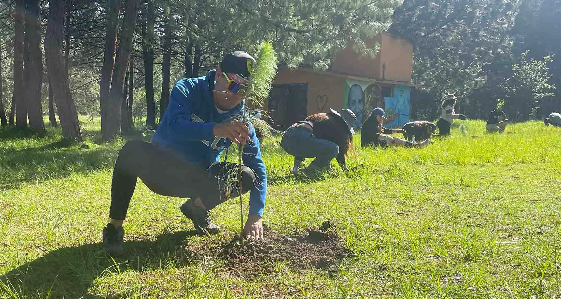 ¡Plantan 200 árboles! Egresados Tec realizan reforestación en Toluca