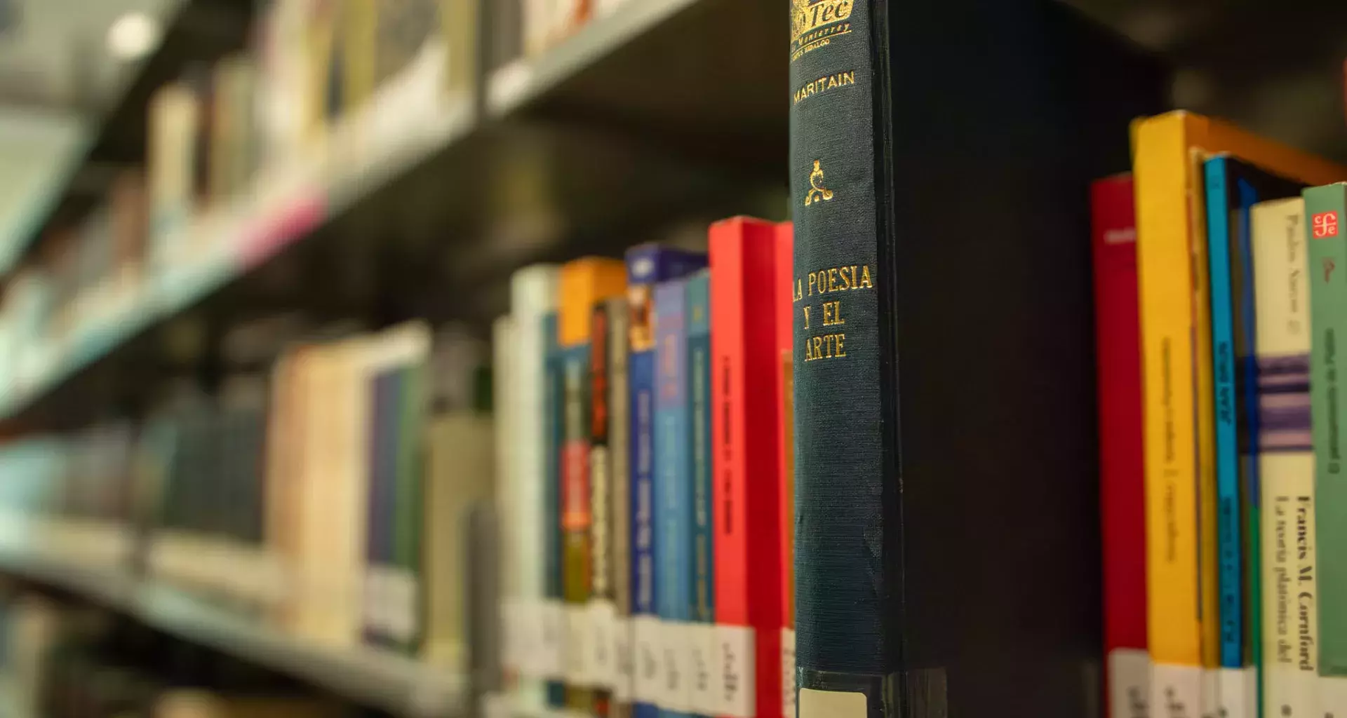 Libro de poesía y arte en la biblioteca de campus Hidalgo