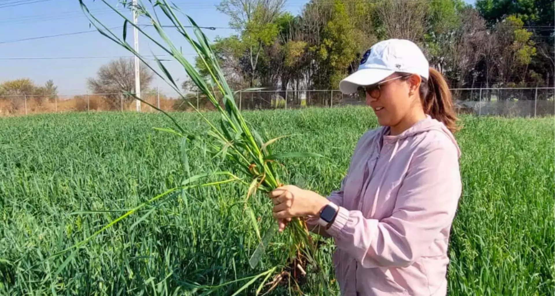 Estudiante del Tec Campus Querétaro durante su trabajo de campo en el CAETEC