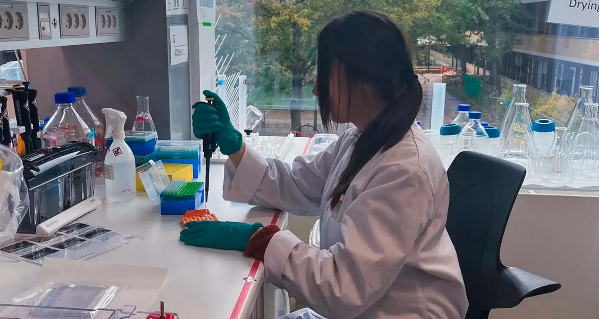 Mexican woman working on antibodies for snake venom