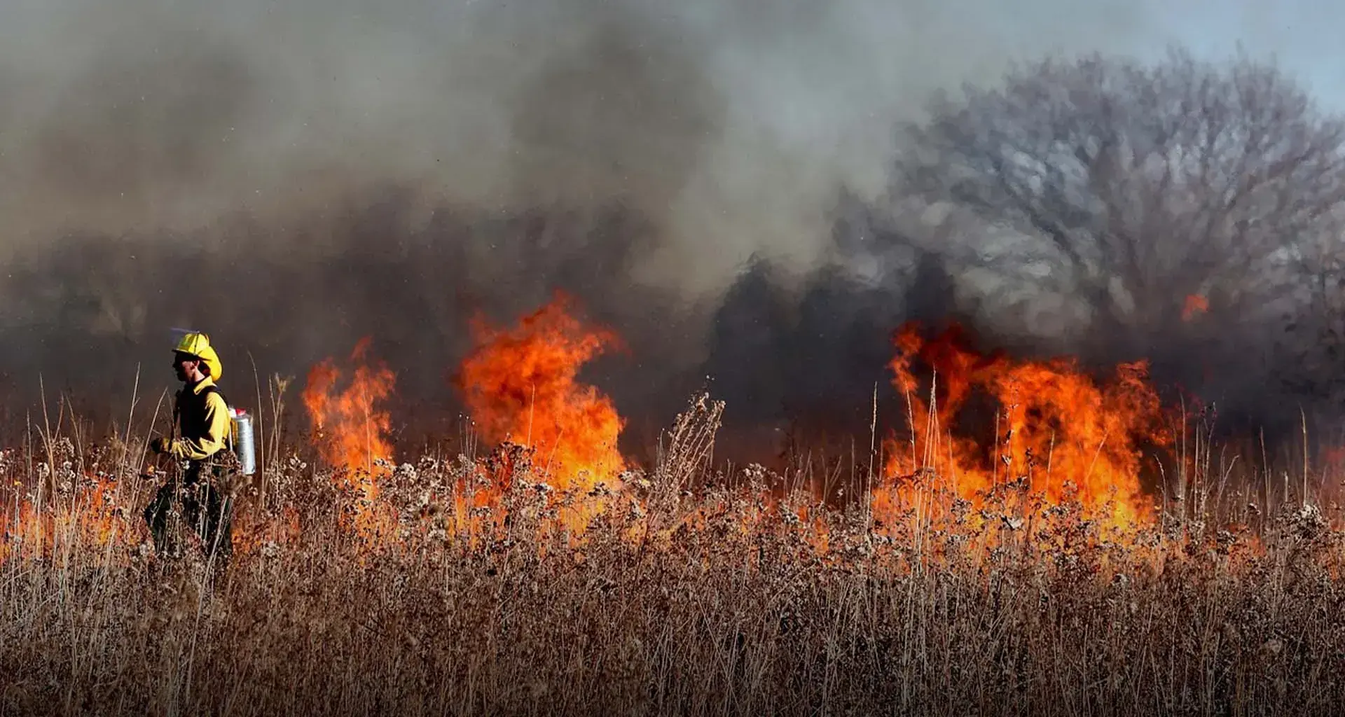 To NASA: Tec students go to world hackathon with app vs. forest fires