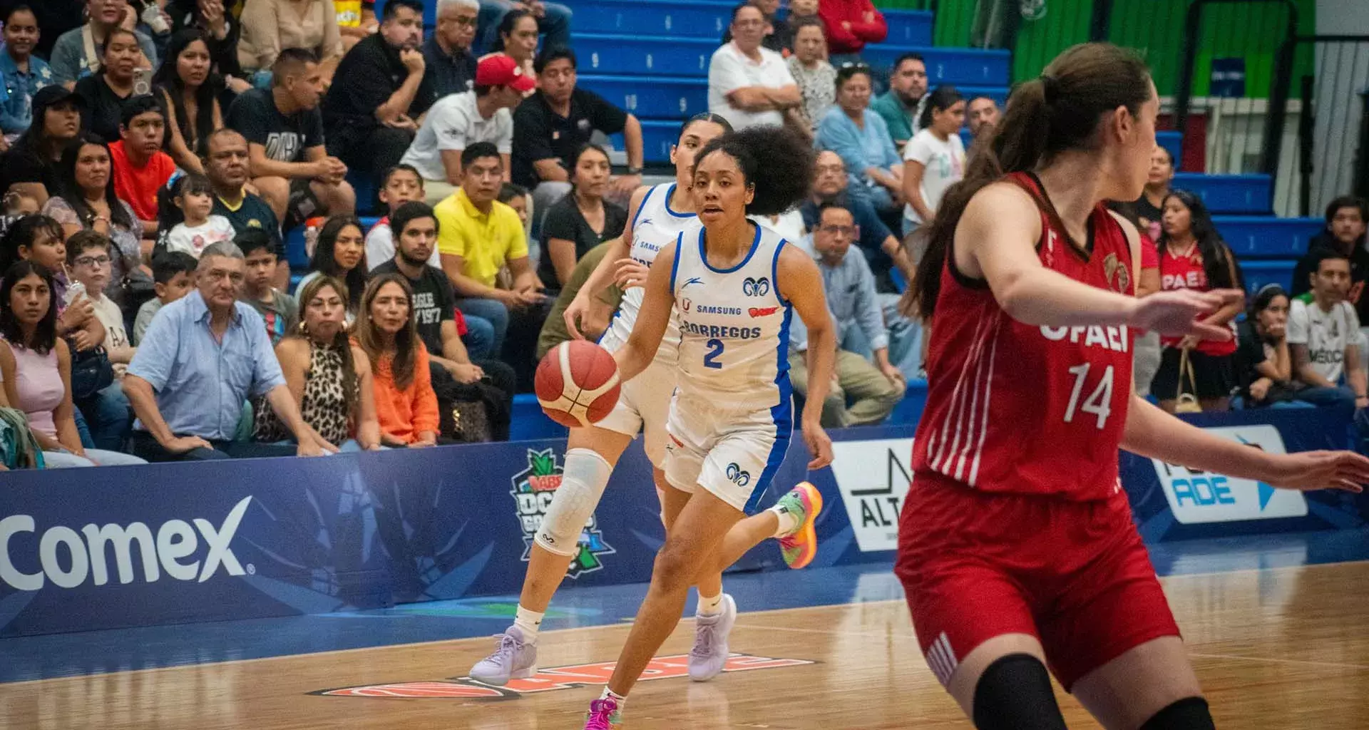 Anisa Jeffries: sobresale en el basquetbol a nivel nacional