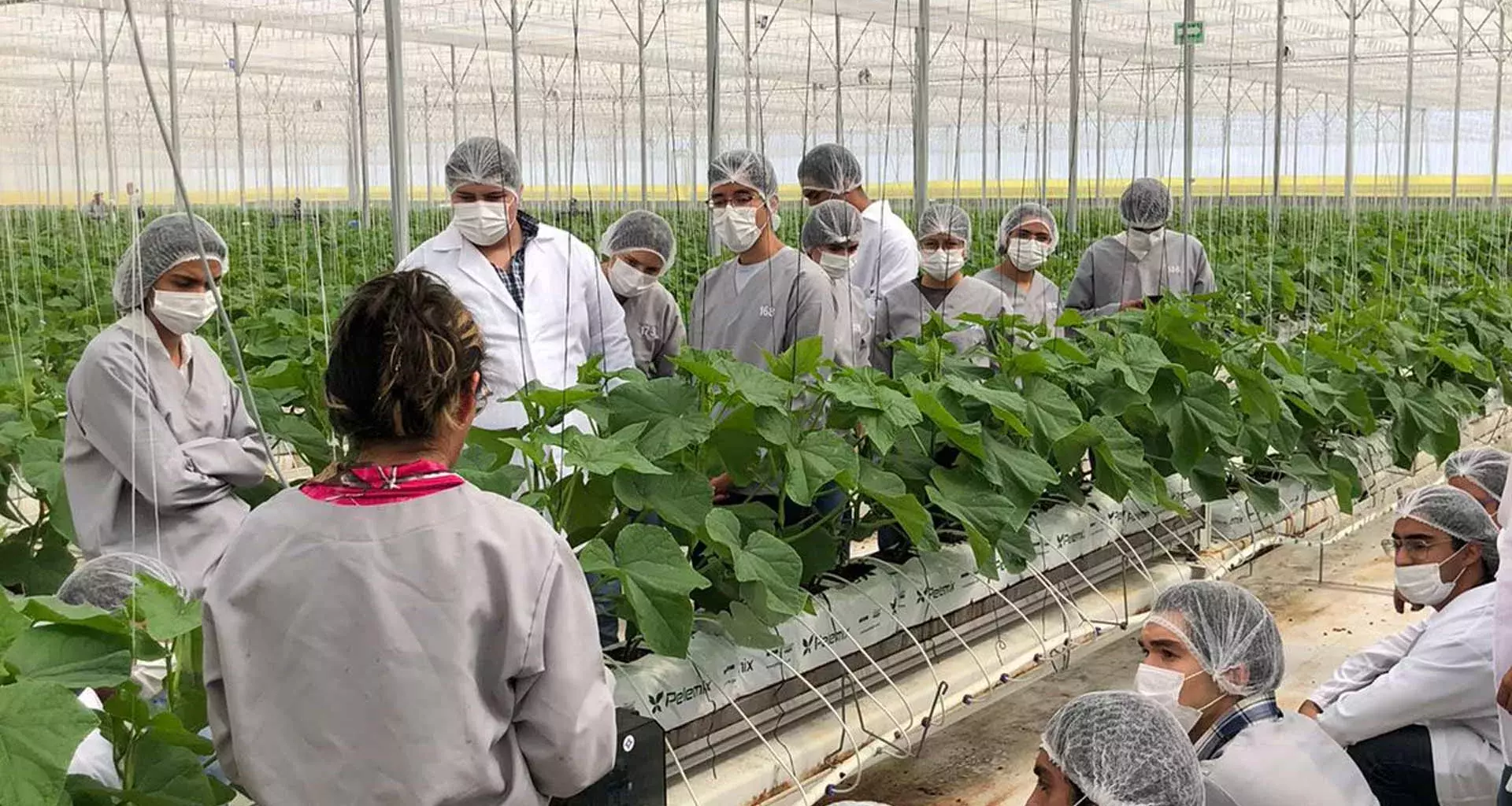 Alumnos en el Campo Agroexperimental del Tec de Monterrey