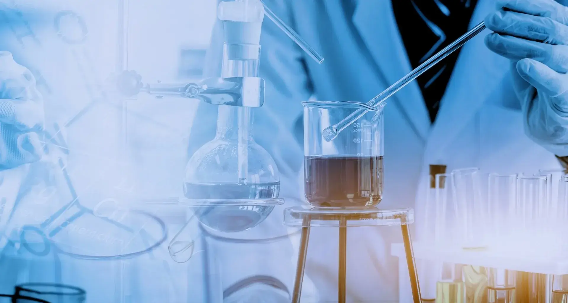 hidalguense-consejos-tips-lider-steam-ingieneria-ciencia-matematicas-tecologia-katia-lozano.jpg
