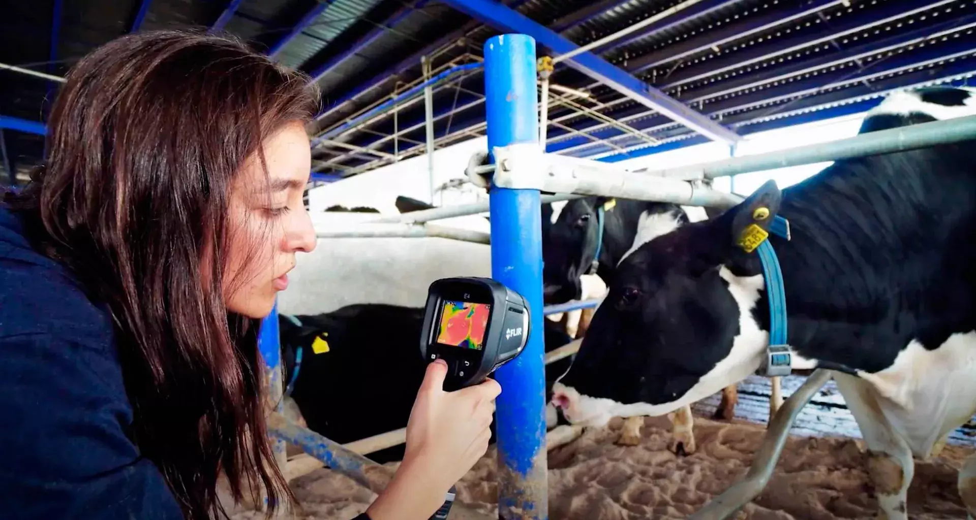 Profesores y estudiantes coordinan proyectos de tecnología sustentable en establo del CAETEC