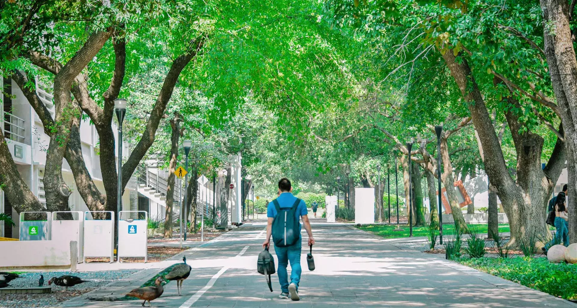 Tec de Monterrey, campus Monterrey