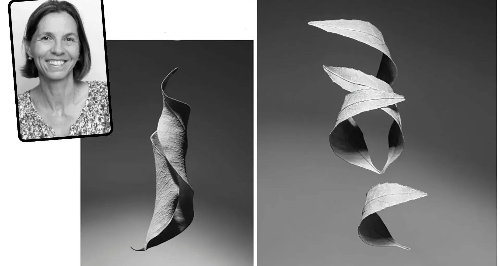 Profesora del Tec Campus Qro gana premio internacional de fotografía