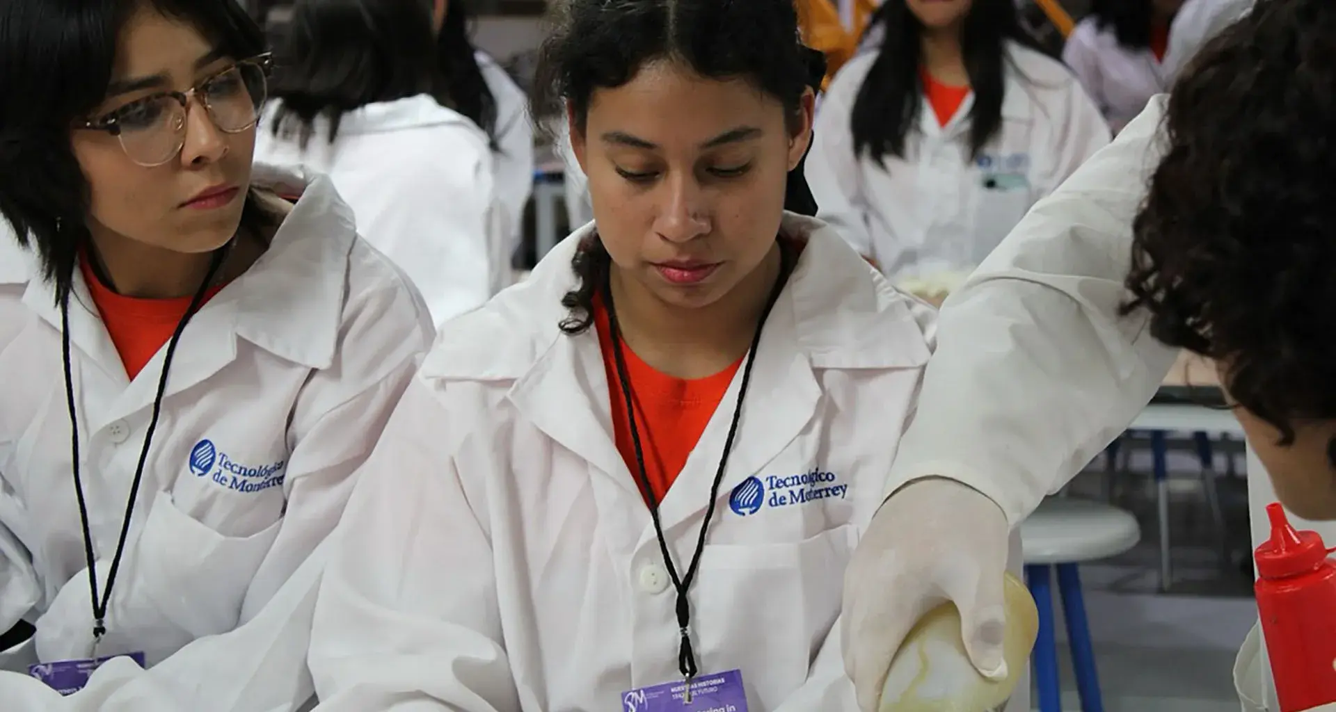 Women Mentoring in STEM: Proyecto que surge de profesoras Tec