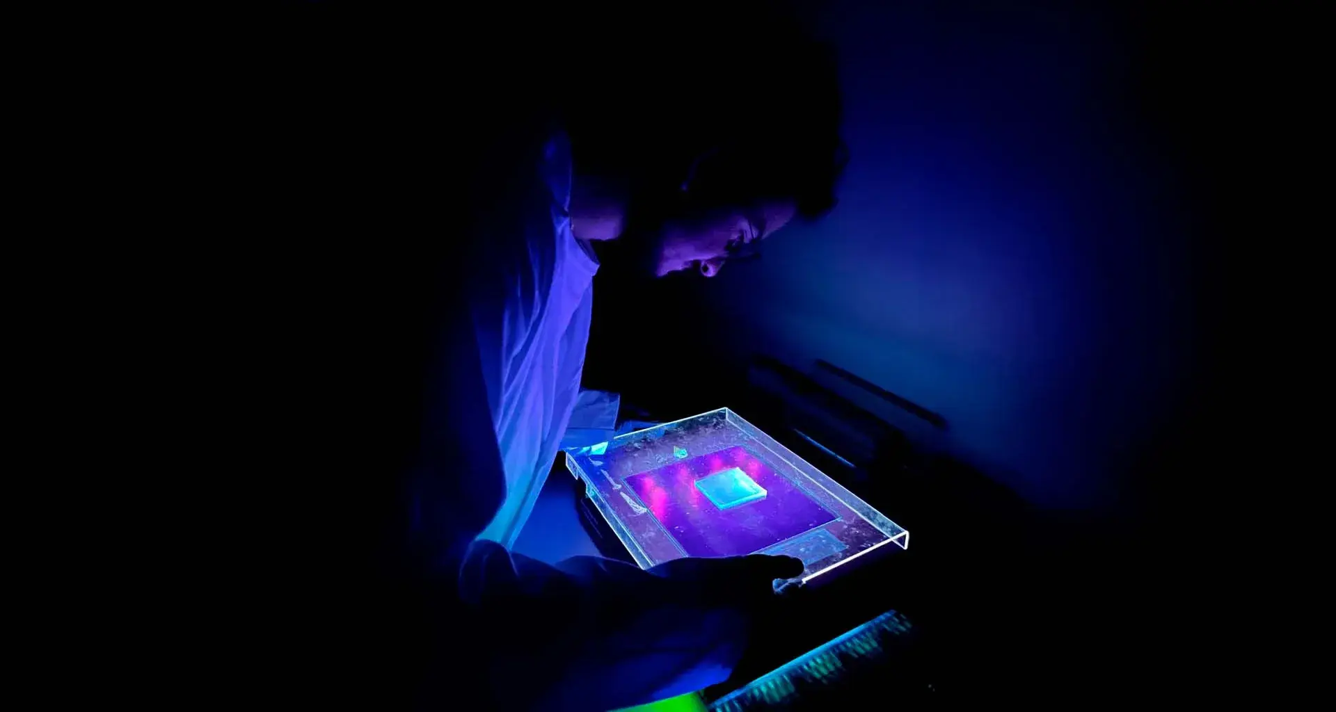 Estudiantes del Tec proponen una alternativa ecológica para frenar el dengue en Singapur