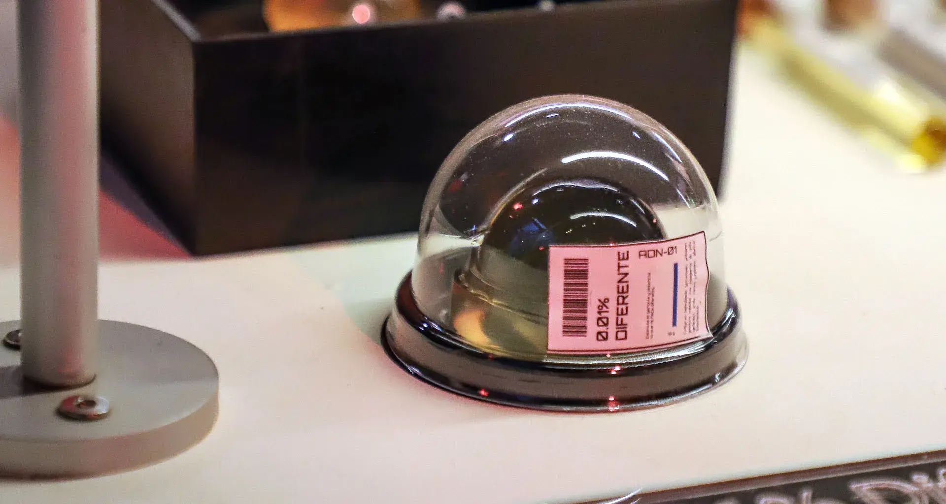 Estudiantes del Tec campus Estado de México presentaron Science Food Design, proyecto que une investigación científica y diseño culinario.