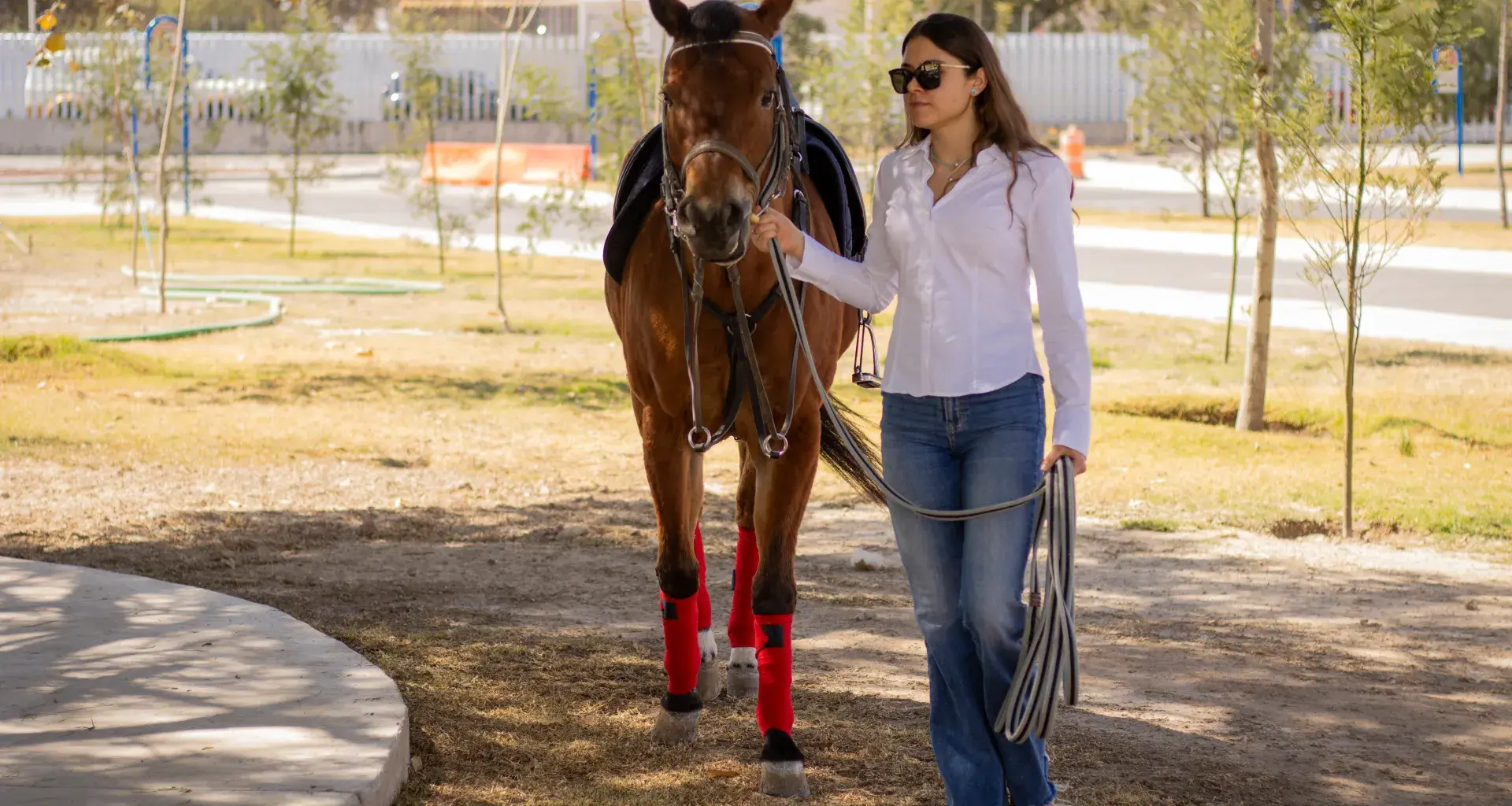 Equinoterapia en campus Hidalgo