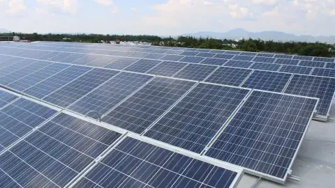 Generan 99% de energía renovable con paneles solares 