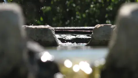 Académicos del mundo unen fuerzas para cuidar el agua