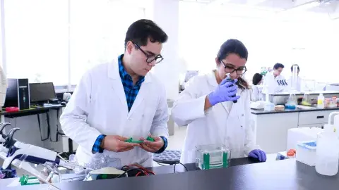 Ganan oro en el MIT por revolucionar el proceso de cicatrización