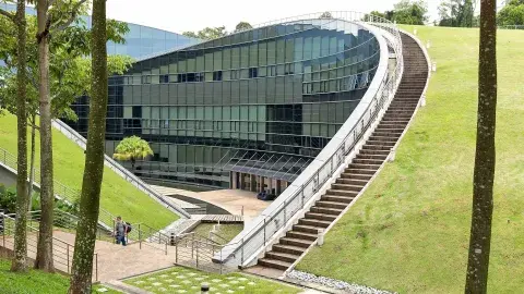 Las 7 claves de la Universidad de Nanyang para tener éxito