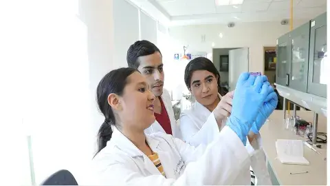 Desarrollan alumnos del Tec un psicobiótico para tratar la depresión