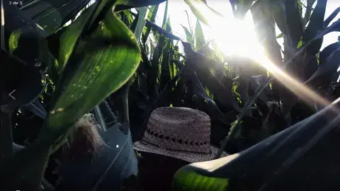 Destaca emprendimiento para agricultores creado por alumnos del Tec