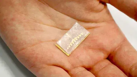 Un chip que detecte el cáncer, la apuesta de este estudiante mexicano
