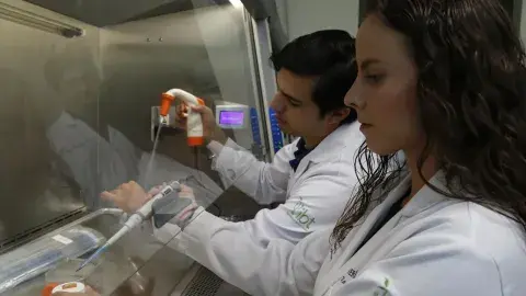 Ganan medalla de platino por métodos para reducir cáncer de colon  