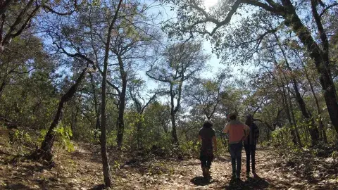Rutopía: el Airbnb del ecoturismo mexicano va por un millón de dólares