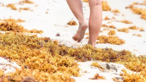 3 proyectos emprendedores del Tec que enfrentan retos ambientales