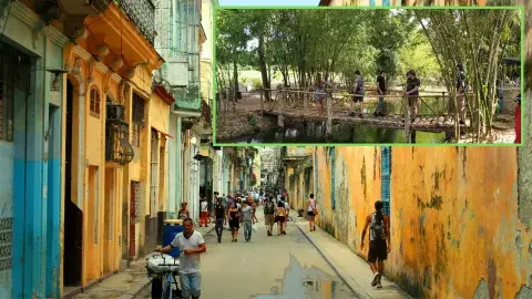 Se empapan de la cultura cubana  durante Semana i