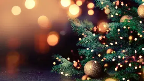 ¿De dónde vienen la fecha de Navidad, el árbol y Santa Claus? 