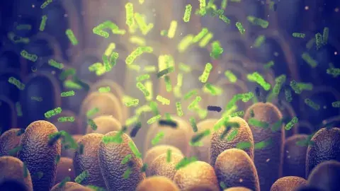 ¡Cuidemos nuestra salud! Experta habla de la microbiota intestinal