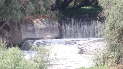 El Tec de Monterrey te busca para rescatar al Río Atoyac