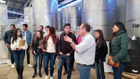 ¡Tequila para el mundo! Alumnos del Tec GDL colaboran para exportarlo