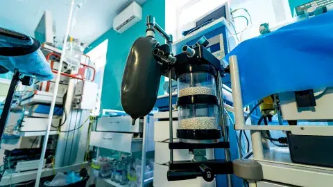 Los ventiladores o respiradores que son clave para enfermos COVID 