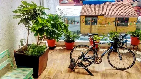 Huertos urbanos:  Terapia sustentable