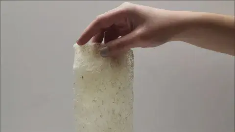 Crea plástico biodegradable y va a concurso internacional