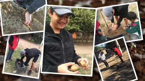 Gana beca del 100% para estudiar en el Tec creando huertos familiares