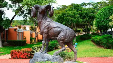 ¡40 aniversario! Descubre los inicios del Tec Campus Chiapas