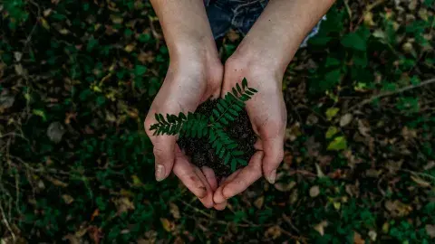Promesa, la empresa mexicana que cambió la educación ambiental