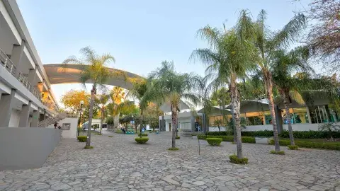 ¡4 décadas de transformar vidas! Celebran presencia del Tec en Colima 
