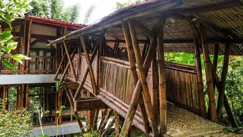 Hult Prize winner Rutopía encourages tourism with social distancing