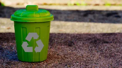 ¿Incursionar en la economía circular? ¡El premio es "choncho"! 
