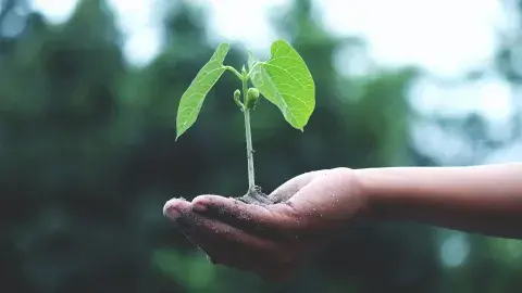 Con iniciativa de emprendimiento social del Tec impactarán al país