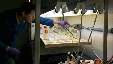 Investigador del Tec será la voz de jóvenes del mundo por el agua