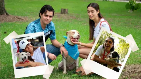 "Ponte Perro": el proyecto que cambia la vida a animales callejeros
