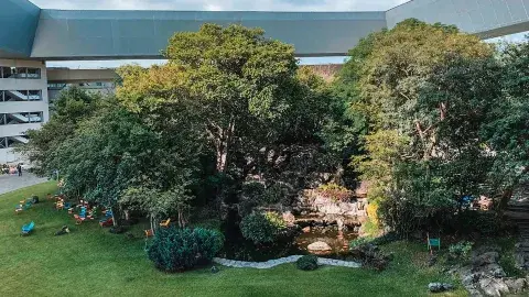 ¿Sabías que Bosque Central del Tec Cuernavaca forma una constelación?
