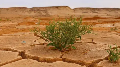 Rompe paradigmas al cuidar el Medio Ambiente y recibe Premio Mujer Tec